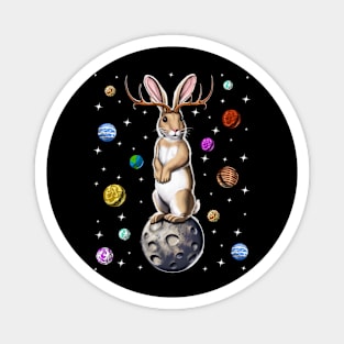 Jackalope Rabbit Magnet